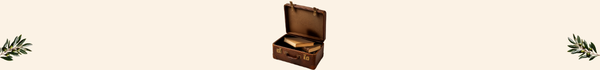 valise